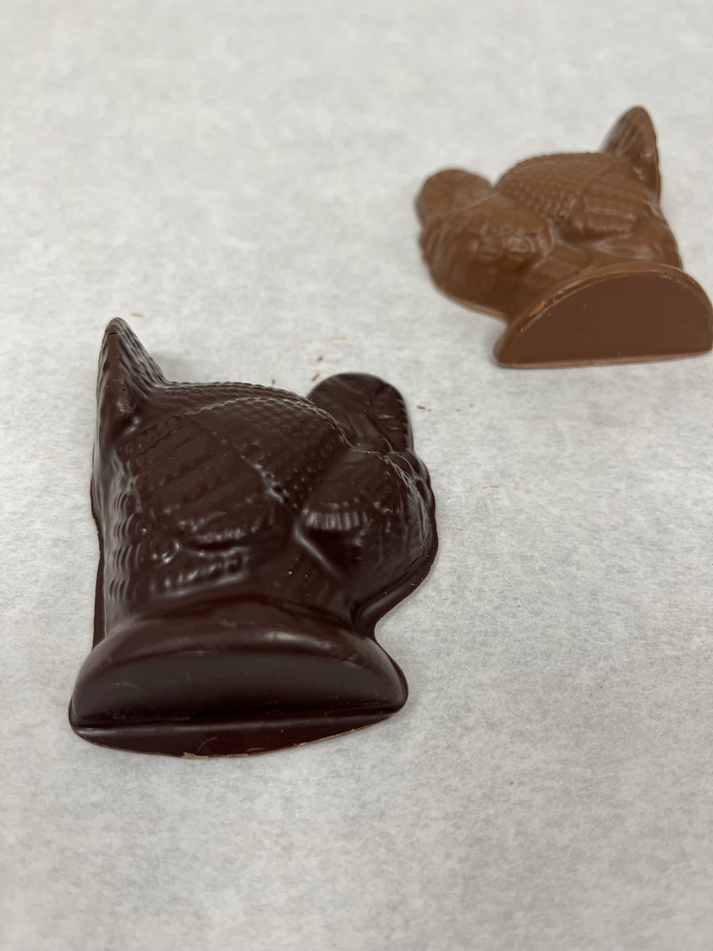 Chocolate Turkey, Medium