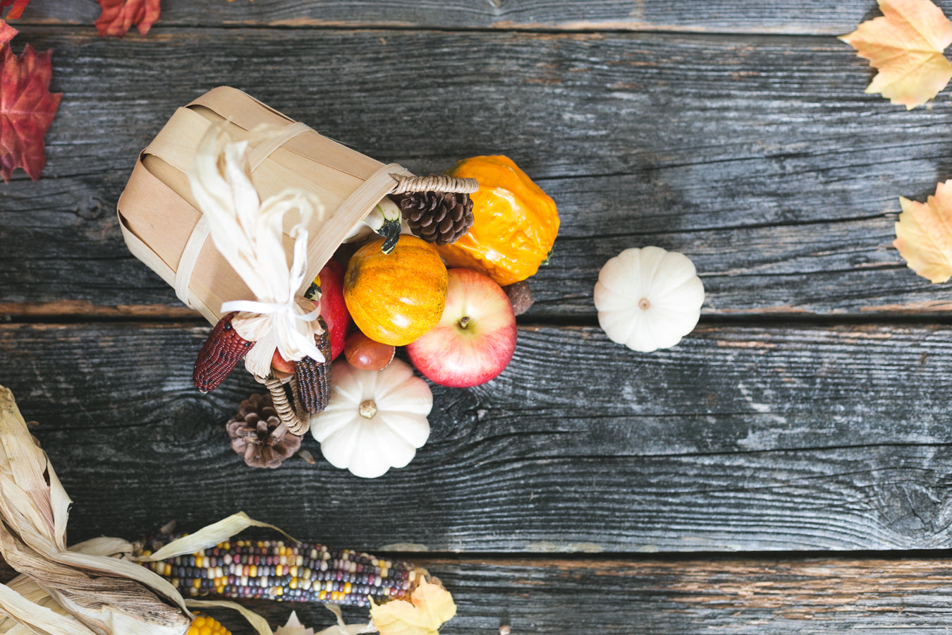 Fall Treats
